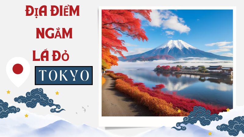 Địa Điểm Ngắm Lá Đỏ Ở Tokyo